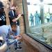 South Carolina defensive tackle Byron Jerideau, Michigan wide receiver Roy Roundtree and kicker Brendan Gibbons check out the cheetah exhibit at Busch Gardens in Tampa, Fla. on Saturday, Dec. 29. Melanie Maxwell I AnnArbor.com